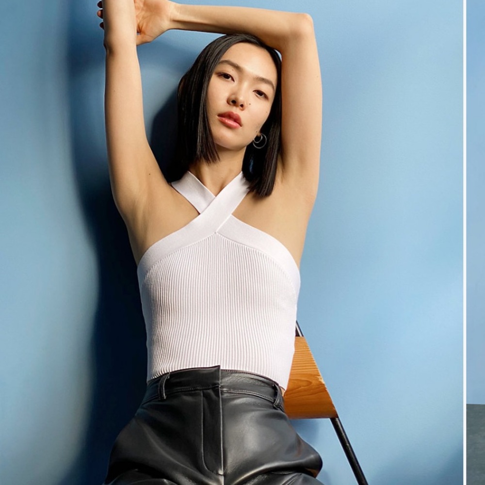 Babaton sculpt knit criss cross tank